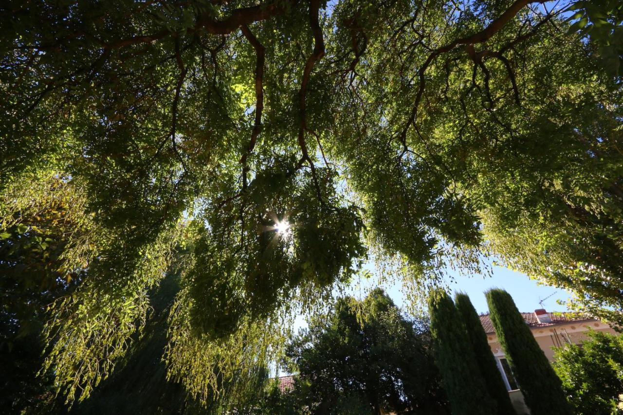 LʼIsle-sur-la-Sorgue Maison Piloni المظهر الخارجي الصورة