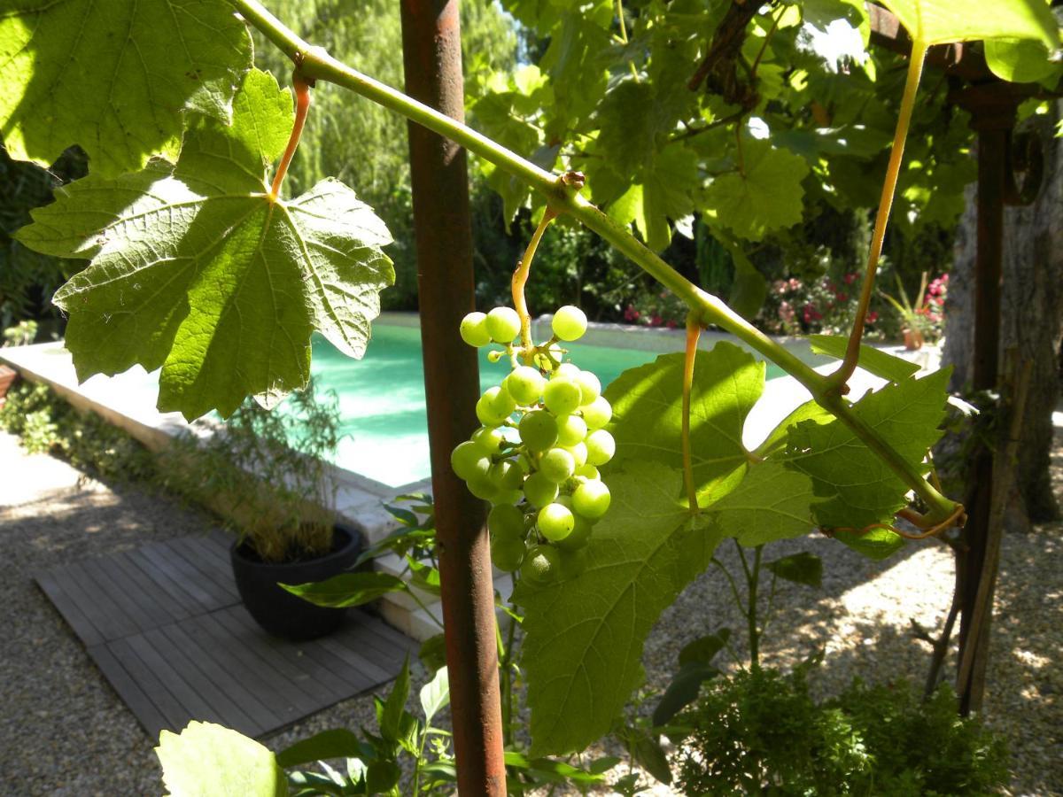 LʼIsle-sur-la-Sorgue Maison Piloni المظهر الخارجي الصورة